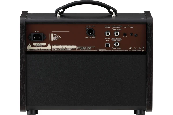 Boss Acoustic Singer Live LT