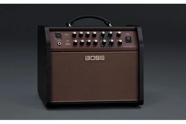 Boss Acoustic Singer Live LT