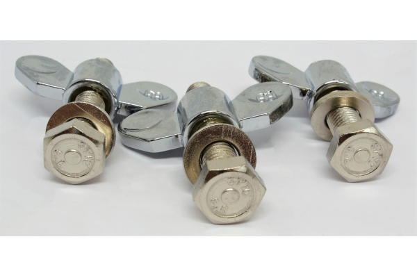 screw for the foot of TMPC