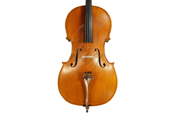 Violoncel 4/4 Gloria 1 (student)