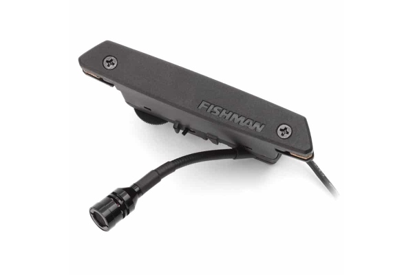 Fishman Rare Earth Mic Blend