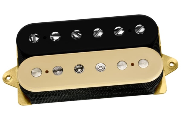 DP 155FBC The Tone Zone