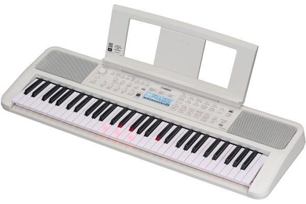 EZ-310