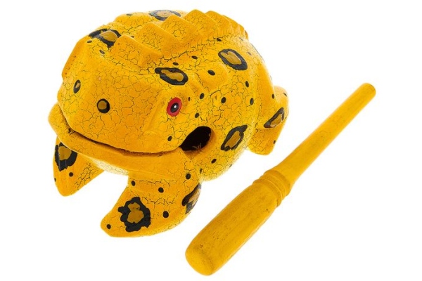 Frog M Percussion Frog Paint