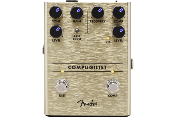 Compugilist