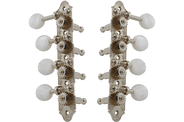 409FN Professional Mandolin Standard 