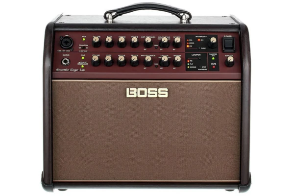 Boss Acoustic Singer Live