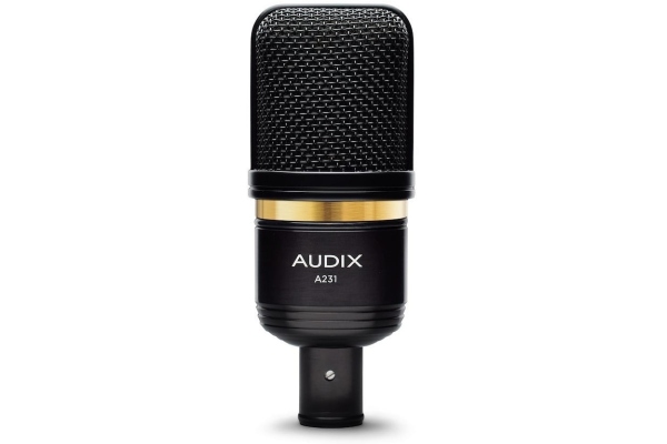 Audix A231