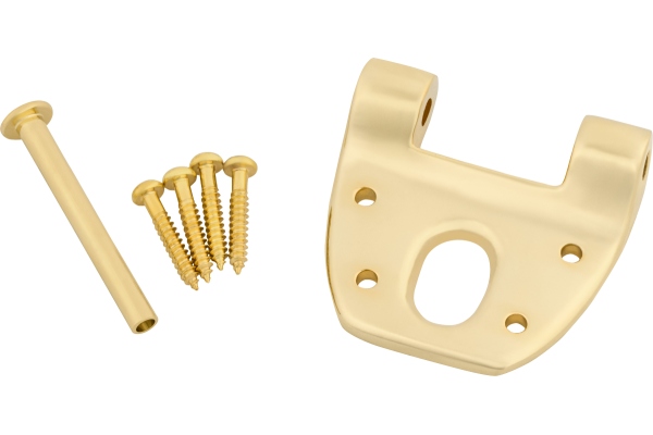 Extra Short Hinge w/Hinge Pin and Screws Gold