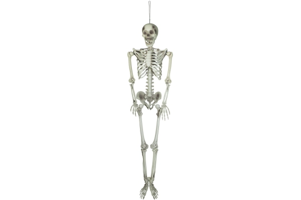 Europalms Halloween Skeleton, 150 cm