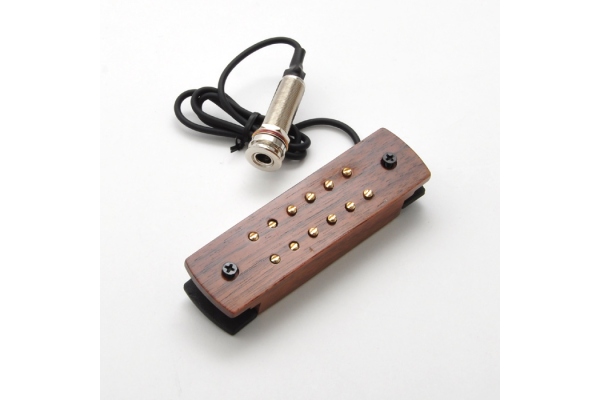 Roger Acoustic Humbucker
