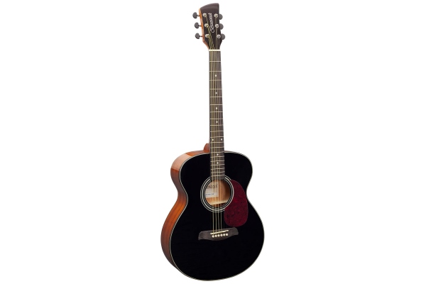 Brunswick BF200 Grand Auditorium - Black Brunswick BF200 Grand Auditorium - Black