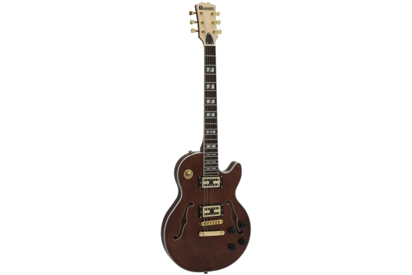 LP-600 Electric Guitar, brown