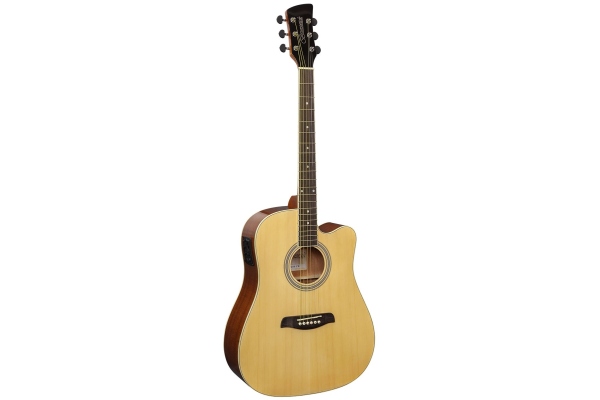 Brunswick BD200 Dreadnought CE Brunswick BD200 Dreadnought CE