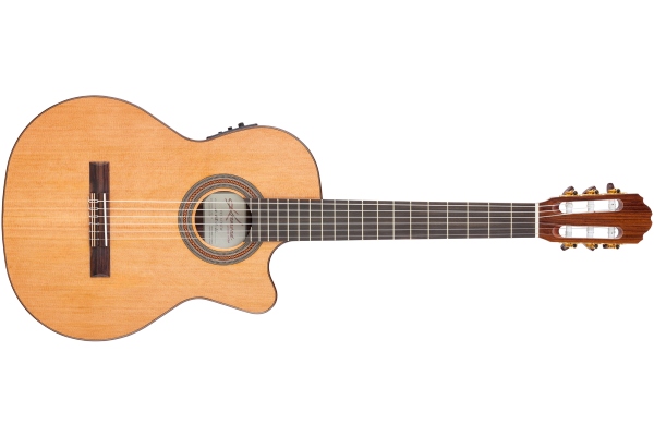Performer F65CW Solid Red Cedar/Indian Rosewood Veneer