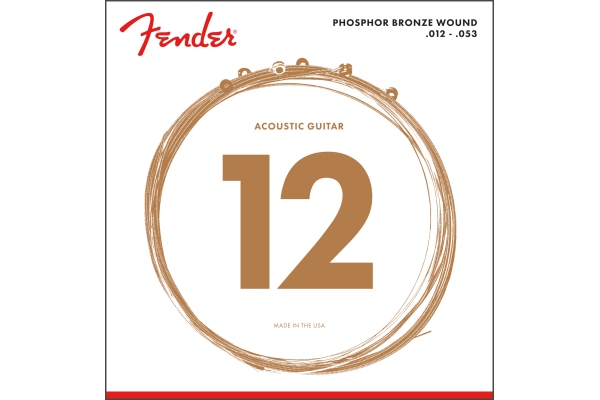 Fender Phosphor Bronze 60L 12-53