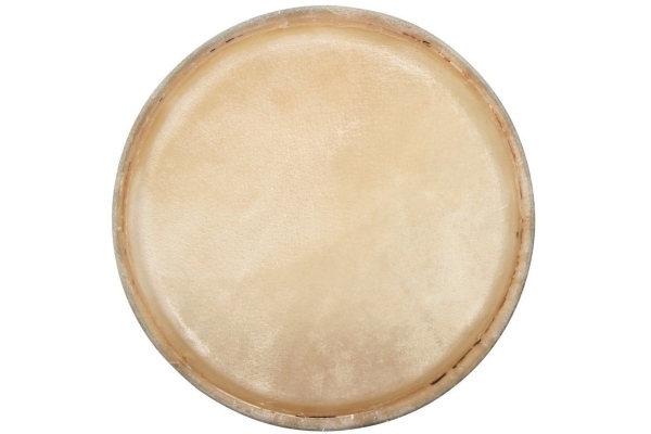 Gewa Fata conga CLUB SALSA 12,5 Gewa Fata conga CLUB SALSA 12,5