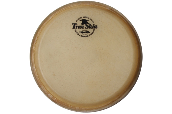 Meinl head for MEC11 Marathon MEC + current MCC series conga - 11