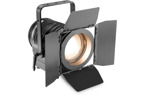 Cameo TS-100 WW Cameo TS-100 WW