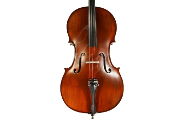 Violoncel 4/4 Gems 1 (student avansat) antic special