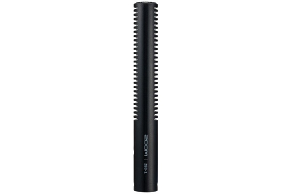 ZSG-1