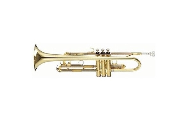 Parrot 6416 L Trumpet Parrot 6416 L Trumpet