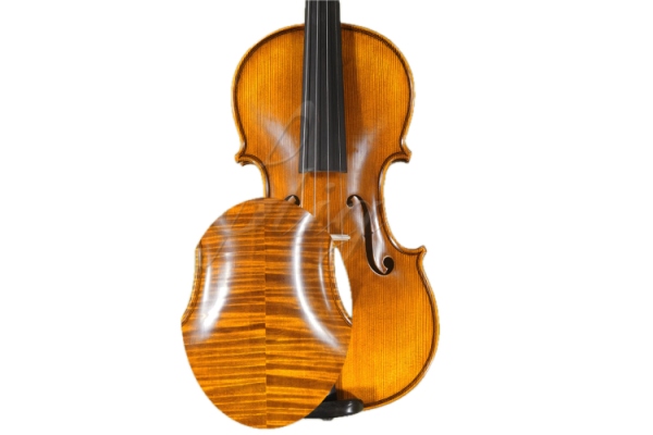 Vioara 4/4 Gliga Extra (maestru) (an 2000-03.16)