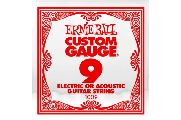 Ernie Ball Plain Steel 1009 Ernie Ball Plain Steel 1009