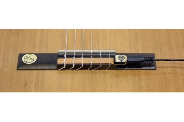 Fire&Stone CG-1 Pickup Fire&Stone CG-1 Pickup