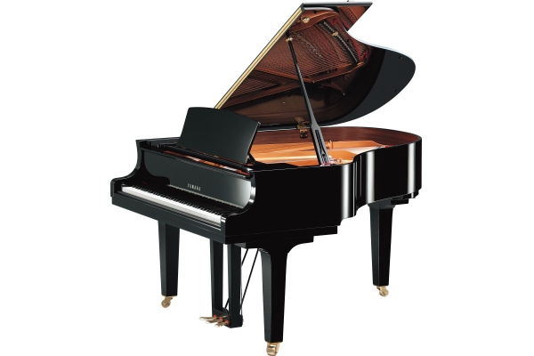 Yamaha C2X PE Yamaha C2X PE