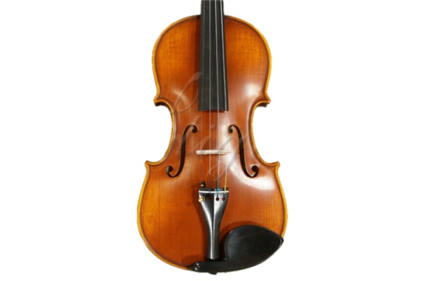 Vioara 4/4 Gama (profesional), stangaci