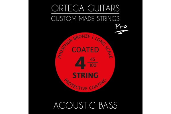 Ortega Corzi custom 