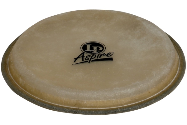 Aspire EZ Curve Rims 8